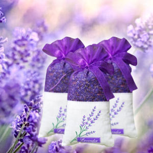 Túi thơm hút mùi làm từ nụ hoa Lavender khô tự nhiên an toàn cho nhà bạn