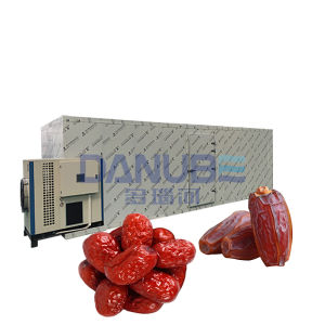Professional Dates Dryer Machine Date Palm Drying Machine Jujube Dryer Machine