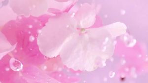 For SADOER Collagen Cherry Blossom Skin care Gift Set6 Piece Facial Skincare SetMoisturizing Hydrating Skin Care KitSkin Care Sets KitsCleanser Toners Lotion Facial Cream Eye Cream Serum