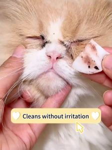 200pcs Pet Eye and Ear Wipes Cat Dog Ear Cleaner Tear Stain Remover Pet Cleaning Paper Pet Wipes