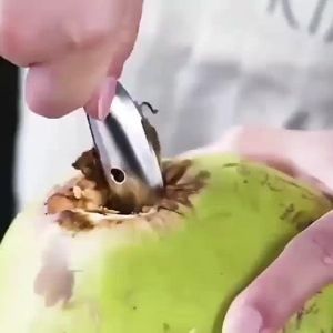 (1) DỤNG CỤ KHUI DỪA MỞ DỪA (thép không rỉ) Tiện Lợi Dễ Dùng.r