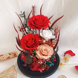 LED Glass Dome Rose Red Preserved Flower Gifts Bouquet Valentine