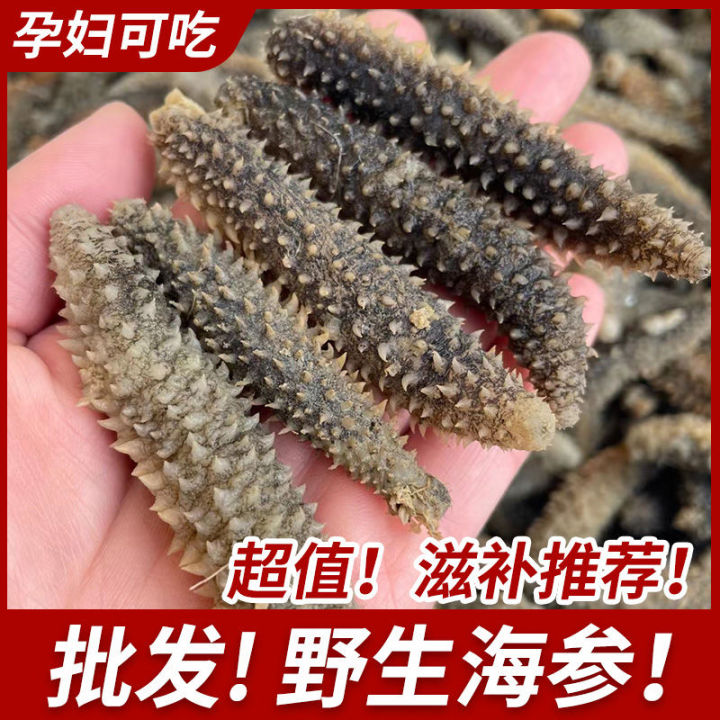 Wild dried sea cucumber! Black sea cucumber fresh sea cucumber dried ...