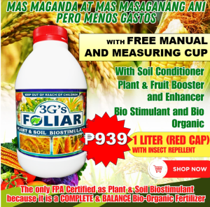 3Gs FOLIAR – SOIL AND PLANT BIOSTIMULANT JAPAN TECHNOLOGY ALL IN ONE SUPER FOLIAR BIO ORGANIC LIQUID FERTILIZER