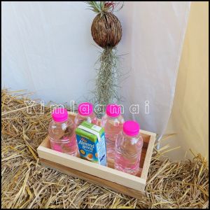 ถาด Tray ถาดไม้ ถาดไม้สัก ถาดวางกระบองเพชร ถาดขนาดเล็ก ไซค์AA งานไม้ งานไม้เฟอร์นิเจอร์ wood