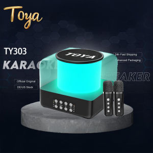 Wireless karaoke speaker with mic dual microphone Karaoke speaker with mic Portable 3D Stereo Amplifier party KTV Equipment Audio