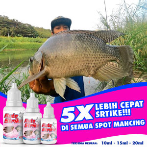 Essen paling jitu ampuh AUTO STRIKE untuk ikan nila media lumut