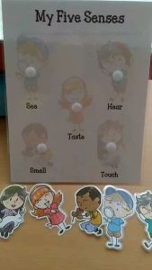 My Five Senses Laminated Sheet