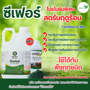 ซีเฟอร์ 5L. (สารสกัดจากสาหร่ายสีเขียวและกรดอะมิโนแบบสกัดเย็น) กระการแตกใบอ่อน เปิดตาดอก ขยายขนาดผล ฟื้นฟูสภาพต้น