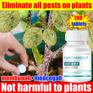 🌻Eliminate all pests on plants🐛 Racun serangga tanaman  Pesticides for plants tablets 200ps membunuh+mencegah No pests for 10 years Racun serangga untuk daun Not harmful to plants  racun serangga perosak tanaman 园艺防虫片 糖化硼肥片