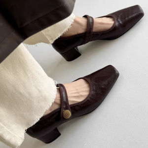 Retro and Versatile One-line Belt Mary Jane Shoes Womens Spring New Single Shoes Square Toe Shallow Mouth Thick Heels Fashionable Small Leather Shoes