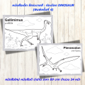 หนังสือเด็ก แบบฝึกเสริมทักษะ ฝึกระบายสี : ท่องโลก DINOSAUR (พิมพ์ครั้งที่ 4). 