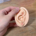 ZHONGYANTAI Ear Seeds Auriculoterapia Acupressure Vaccaria Ear Seeds Acupuncture Kit Resolve Headache Envio Gratis 3000 Capsules. 
