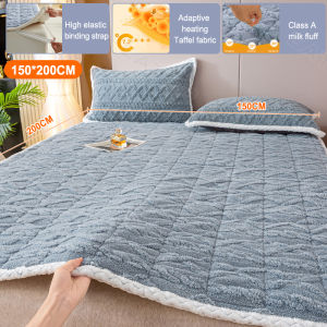Winter Thickened Taffeta Mattress Upholstery Home Warm Single Milk Velvet Student Dormitory Mattress Pad