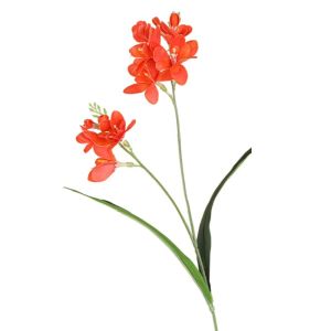 UMBRAULI Real Touch Artificial Freesia Flowers 2 Fork Handmade Fake Flowers Flower Arrangement Realistic Simulation Whelan Flower Home Living Room Decor