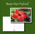 Postcrossing Postcard / Malaysia Postcard / Poskad Malaysia / Postcard Printing. 