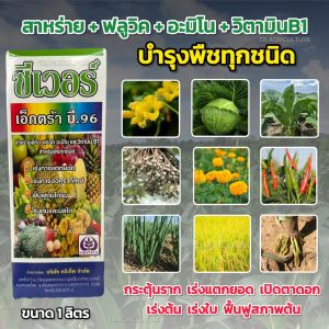 สาหร่าย อะมิโน ฟลูวิค วิตามิน B1 ซีเวอร์ เอ็กตร้า บี.96 (บำรุงได้ทุกพืช) ฮอร์โมนพืช เร่งราก เร่งใบ เปิดตาดอก ฟื้นฟูต้น