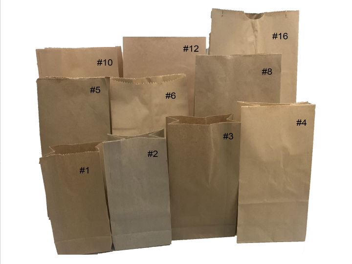 10×12″ Large Kraft Paper Bag With Handles