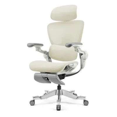 Hinomi H2 Pro Ergonomic Office Chair with Lumbar Support and Leg Rest Mesh Home Office Chair with Adjustable Backrest Gaming Chair