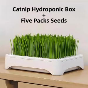 Cat Grass Box Cat Grass Soilless Hydroponic Box Kitten Grass Hydroponic Device Planting Pot Growing