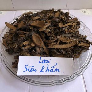Nấm ngọc cẩu ( bất lão dược tỏa dương) _ hàng cực phẩm loại 1 _tăng cường sinh lực nam nữ.