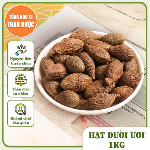 Hạt ươi 1kg hạt đười ươi rừng tuyển chọn hạt nở bung hỗ trợ giảm ho tiêu đờm đau họng
