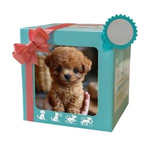 Electronic Interactive Companion Dog Plush Puppy With Realistic Barking Sound And Lovely Design For Kids Toddler Comfort