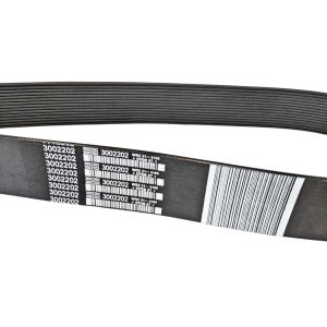 FAN BELT 3002202 V-RIBBED BELT ALTERNATIVE 20-1707 15PK1768 807303 5412996 [LIMITED LOCAL STOCK. USUALLY SHIP IN 12HRS! LOCAL SUPPLIER WARRANTY] FOR CUMMINS K19 K38 QSK19 CM850 CM876 MCRS QSNT14 N103