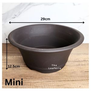 The Leaferie Bonsai Pot (Series 36) 2 sizes . Big Plant pot . Zisha . Flowerpot . Purple Sand Planter. Flower pots