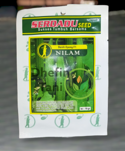 Benih Oyong NILAM isi 20 gr SERDADU SEED