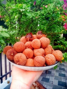 [ Vải Thiều Sấy 2025] VẢI SẤY KHÔ LỤC NGẠN BẮC GIANG LOẠI 1