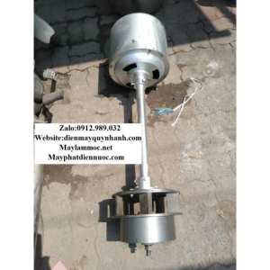 Máy Phát Điện Nước Tiến Mạnh 4kw ( Củ Đứng )