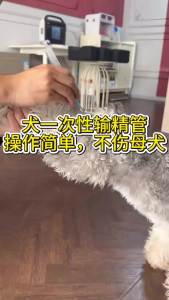 Pet Dog Artificial Insemination Catheters Rods Breeding Tubes Soft Rubber Canine Semen Catheter For Dog