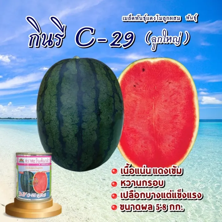 เมล็ดพันธุ์แตงโม กินรี C-29 ลูกใหญ่ 40 กรัม