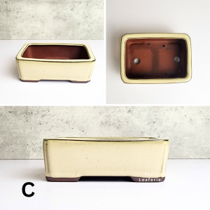 The Leaferie Petit Bonsai Pot (Series 9) . Rectangular Plant pot . Ceramic Flowerpot . rectangle Planter . small pots