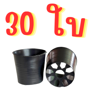 กระถาง 3 นิ้ว ปลูกผักไร้ดิน ปลูกผักในดิน สามารถใช้ปลูกผักในกล่องโฟม กระถาง 3 นิ้ว สีดำ เหนียว ทน