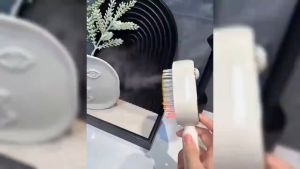 Electric Spray Massage Comb Air Cushion Detangling Hair Brush Red Light Scalp Care Type C