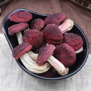 红菇高汤煲汤 Fungus Stock