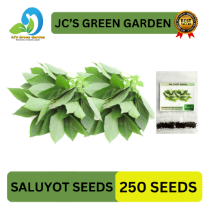 (250 SEEDS) - SALUYOT SEEDS/HYBRID/LONG LIFE PLANTS/EAST TO GROW/QUALITY SEEDS
