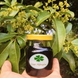 mật ong rừng nguyên chất mật ong tự nhiên 100% ( mật nhãn mật vải ) Việt Nguyên