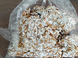 เชื้อรากำจัดแมลง บิวเวอร์เรีย (Beauveria) ชนิดเชื้อสด มีประสิทธภาพสูง ปลอดภัยต่อสุขภาพ ไม่ทำลายสิ่งแวดล้อม 250g