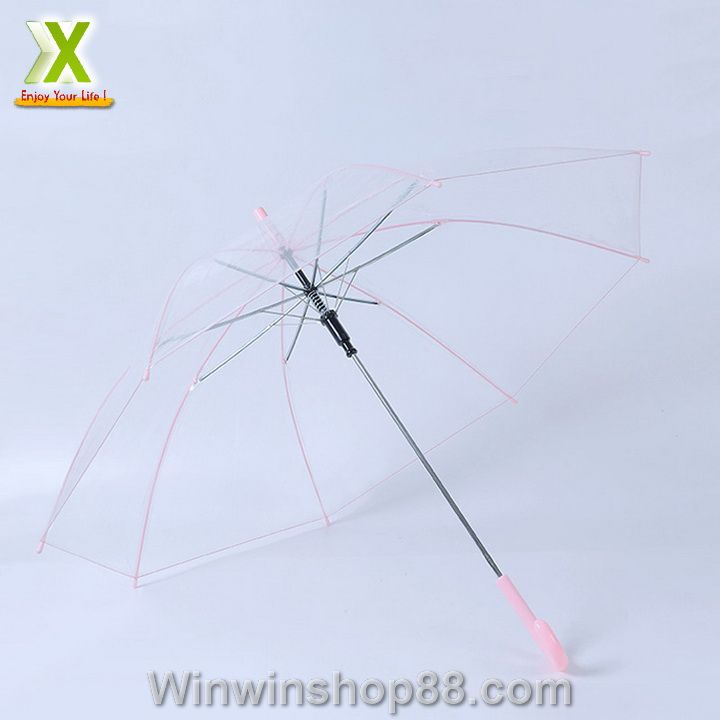 D%C3%B9%20trong%20su%E1%BB%91t%20%C4%91i%20m%C6%B0a%20m%C3%A0u%20h%E1%BB%93ng%20-%20Image%206