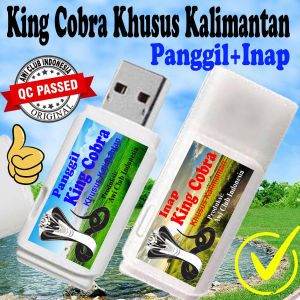 KING COBRA PRODUKSI AWI CLUB INDONESIA ASLI 100% ORIGINAL GARANSI RESMI 1TAHUN 2FLASHDISK