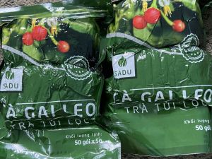 4 Bịch 250g Trà Túi Lọc Cà Gai Leo Sadu Hút Chân Không