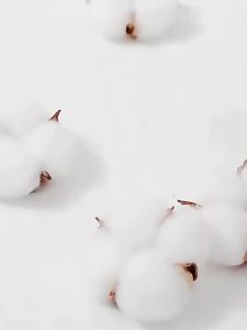 Pure Cotton Age Baby Underwear Female Summer Pure Cotton 0-5 Years Old Class a Little Girl Shorts Baby Cartoon Bulky Underpants