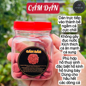 Hủ 50g Tảo Dán - Dán Thành Bể Ngắm Cá Cực Mê Tiện Dụng Hỗ Trợ Tiêu Hóa Tăng Hấp Thu Tăng Cường Sức Khỏe Cho Cá Cảnh