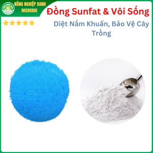 Combo 1Kg Đồng Sunfat & Vôi Sống - Bảo Vệ Cây TrồngNgăn Ngừa Nấm KhuẩnỔn Định Đất