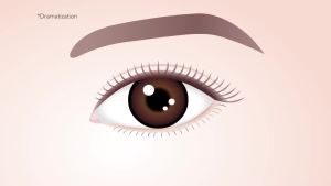 Ready To Wear Lash Extension - Fine DRY Fibers to Extend Lashes Instantly Volumize & Elongate - No Glue Needed (Must use with Mascara)