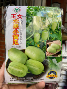 Hạt giống Dưa leo Ngọc Nữ ( Gói 10 Hạt )