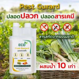 Pest Gurard กำจัดปลวก ไล่ปลวก สมุนไพรปลวก ไล่ปลวกปลูกผัก